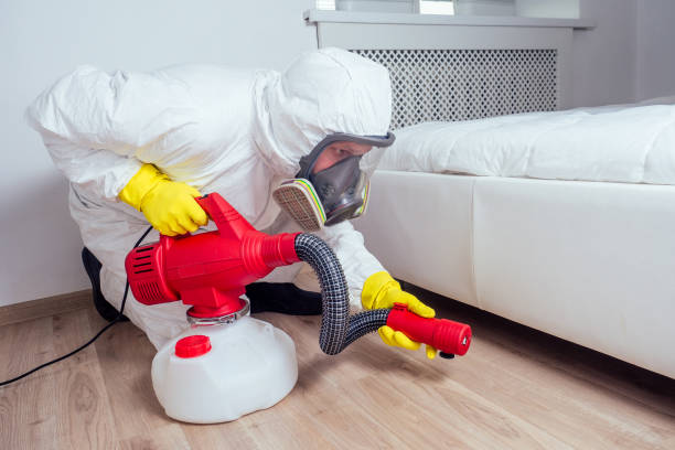 Best Flea Control Services  in South Chicago Heights, IL