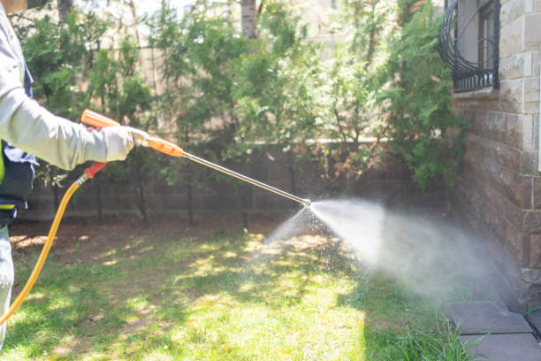 Best Best Pest Control Companies  in South Chicago Heights, IL